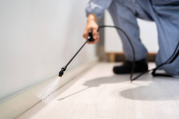 Licensed Pest Control service in New Britain, CT - Show Me Pest Control