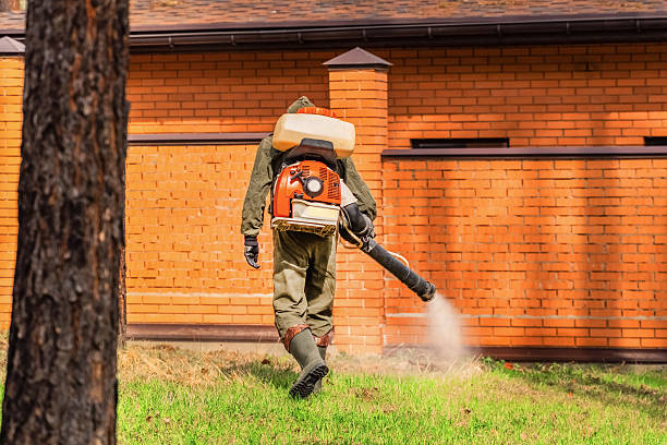 Bed Bug Clearance Verification and Documentation in New Britain